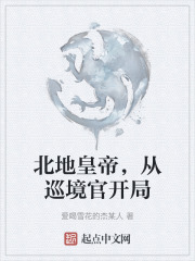 北地皇帝，从巡境官开局