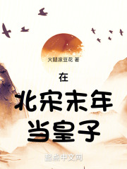 鍦ㄥ寳瀹嬫湯骞村綋鐨囧瓙