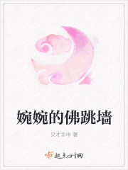 婉婉的佛跳墙